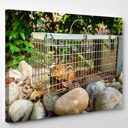 Chipmunk Live Humane Trap Pest Rodent Luxury Multi Canvas Prints, Multi Piece Panel Canvas Gallery Art Print Art Wall Decor Single Canvas 1PIECE(8x10)