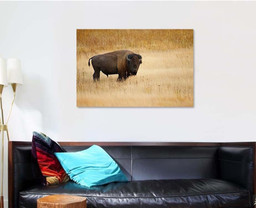 American Bison Buffalo 1 Bison Animals Luxury Multi Canvas Prints, Multi Piece Panel Canvas Gallery Art Print Print Single Canvas 1 PIECE (32x48)
