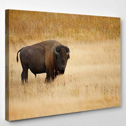 American Bison Buffalo 1 Bison Animals Luxury Multi Canvas Prints, Multi Piece Panel Canvas Gallery Art Print Print Single Canvas 1PIECE(8x10)