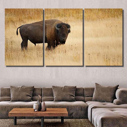 American Bison Buffalo 1 Bison Animals Luxury Multi Canvas Prints, Multi Piece Panel Canvas Gallery Art Print Print Multi Canvas 3PIECE(54x24)