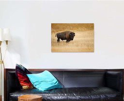 American Bison Buffalo 1 Bison Animals Luxury Multi Canvas Prints, Multi Piece Panel Canvas Gallery Art Print Print Single Canvas 1 PIECE (24x36)