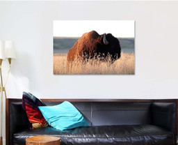 American Bison Prairie Reserve Eastern Montana Bison Animals Luxury Multi Canvas Prints, Multi Piece Panel Canvas Gallery Art Print Print Single Canvas 1 PIECE (32x48)