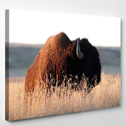 American Bison Prairie Reserve Eastern Montana Bison Animals Luxury Multi Canvas Prints, Multi Piece Panel Canvas Gallery Art Print Print Single Canvas 1PIECE(8x10)
