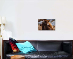 Black Bear Cubs Siblings Playing Bison Animals Luxury Multi Canvas Prints, Multi Piece Panel Canvas Gallery Art Print Print Single Canvas 1 PIECE (16x24)