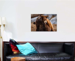 Black Bear Cubs Siblings Playing Bison Animals Luxury Multi Canvas Prints, Multi Piece Panel Canvas Gallery Art Print Print Single Canvas 1 PIECE (24x36)