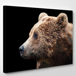 Brown Bear Portrait Isolated On Black Bear Animals Luxury Multi Canvas Prints, Multi Piece Panel Canvas Gallery Art Print Print Single Canvas 1PIECE(8x10)