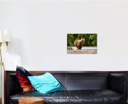 Ursus Arctos Beringianus Catches Salmons Kuril Bear Animals Luxury Multi Canvas Prints, Multi Piece Panel Canvas Gallery Art Print Print Single Canvas 1 PIECE (16x24)