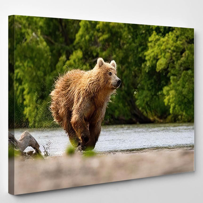 Ursus Arctos Beringianus Catches Salmons Kuril Bear Animals Luxury Multi Canvas Prints, Multi Piece Panel Canvas Gallery Art Print Print Single Canvas 1PIECE(8x10)