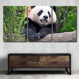 Giant Panda Chengdu China Bear Animals Luxury Multi Canvas Prints, Multi Piece Panel Canvas Gallery Art Print Print Multi Canvas 3PIECE(36 x18)