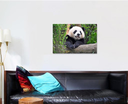 Giant Panda Chengdu China Bear Animals Luxury Multi Canvas Prints, Multi Piece Panel Canvas Gallery Art Print Print Single Canvas 1 PIECE (24x36)