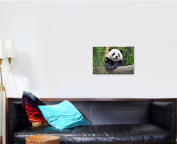 Giant Panda Chengdu China Bear Animals Luxury Multi Canvas Prints, Multi Piece Panel Canvas Gallery Art Print Print Single Canvas 1 PIECE (16x24)