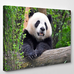 Giant Panda Chengdu China Bear Animals Luxury Multi Canvas Prints, Multi Piece Panel Canvas Gallery Art Print Print Single Canvas 1PIECE(8x10)