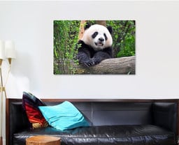 Giant Panda Chengdu China Bear Animals Luxury Multi Canvas Prints, Multi Piece Panel Canvas Gallery Art Print Print Single Canvas 1 PIECE (32x48)