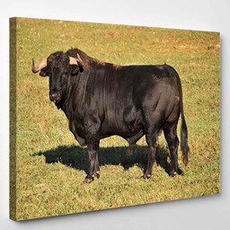 Spanish Bull On Field Big Horns Bison Animals Luxury Multi Canvas Prints, Multi Piece Panel Canvas Gallery Art Print Print Single Canvas 1PIECE(8x10)