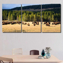 American Bison Buffalo Yellowstone National Park 1 Bison Animals Luxury Multi Canvas Prints, Multi Piece Panel Canvas Gallery Art Print Print Multi Canvas 3PIECE(36 x18)