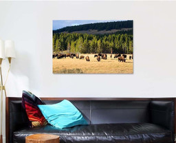 American Bison Buffalo Yellowstone National Park 1 Bison Animals Luxury Multi Canvas Prints, Multi Piece Panel Canvas Gallery Art Print Print Single Canvas 1 PIECE (32x48)