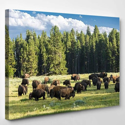 Herd Bison Buffalo Yellowstone National Park Bison Animals Luxury Multi Canvas Prints, Multi Piece Panel Canvas Gallery Art Print Print Single Canvas 1PIECE(8x10)