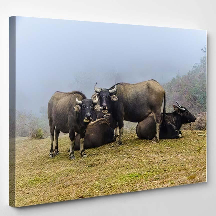 Buffalo 23 Bison Animals Luxury Multi Canvas Prints, Multi Piece Panel Canvas Gallery Art Print Print Single Canvas 1PIECE(8x10)