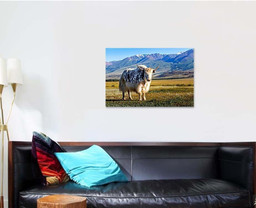 White Black Yak Alpine Mountains Himalayan 1 Bison Animals Luxury Multi Canvas Prints, Multi Piece Panel Canvas Gallery Art Print Print Single Canvas 1 PIECE (24x36)