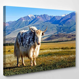 White Black Yak Alpine Mountains Himalayan 1 Bison Animals Luxury Multi Canvas Prints, Multi Piece Panel Canvas Gallery Art Print Print Single Canvas 1PIECE(8x10)