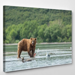 Wild Kamchatkan Brown Bear Eating Salmon Bear Animals Luxury Multi Canvas Prints, Multi Piece Panel Canvas Gallery Art Print Print Single Canvas 1PIECE(8x10)