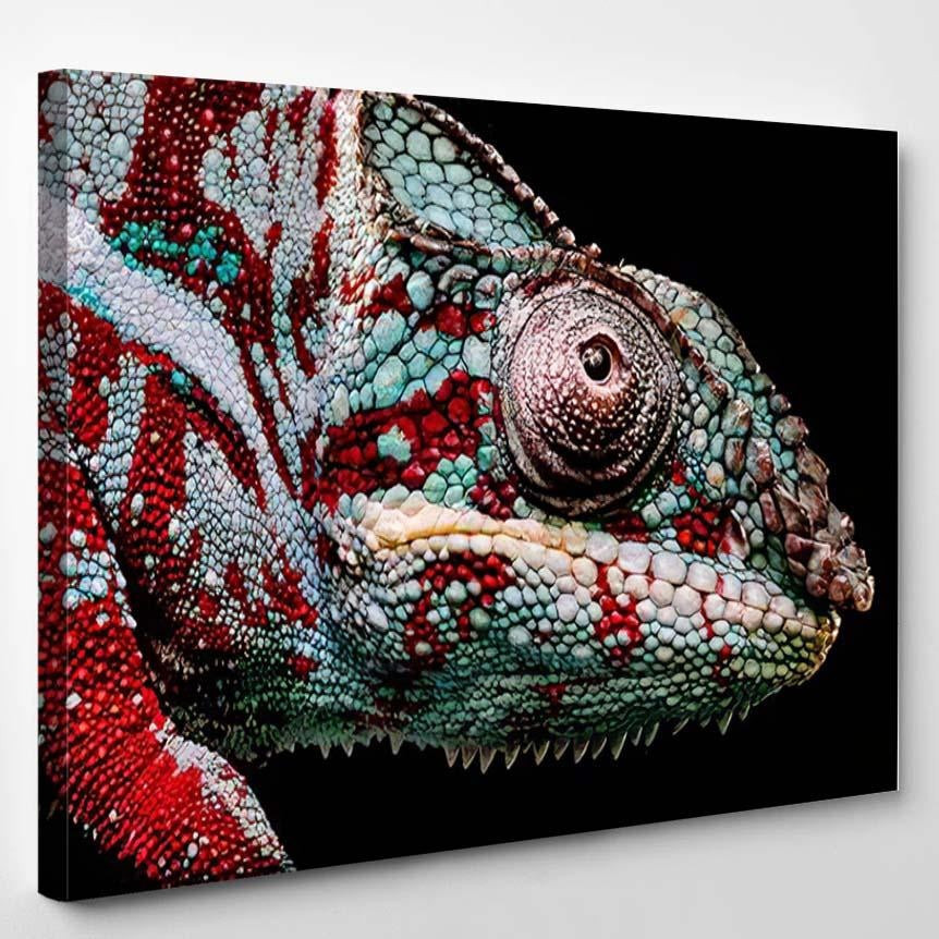 Close Eye Green Red Panther Chameleon Black Panther Animals Luxury Multi Canvas Prints, Multi Piece Panel Canvas Gallery Art Print Print Single Canvas 1PIECE(8x10)