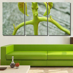 Bowtruckles Insect That Mimics Nature Leaves, Fantastic Premium Multi Canvas Prints, Multi Piece Panel Canvas , Luxury Gallery Wall Fine Art Multi Canvas 3PIECE(36 x18)