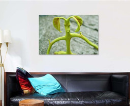 Bowtruckles Insect That Mimics Nature Leaves, Fantastic Premium Multi Canvas Prints, Multi Piece Panel Canvas , Luxury Gallery Wall Fine Art Single Canvas 1 PIECE (32x48)