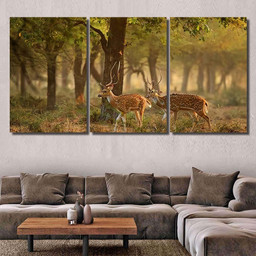 Chital Cheetal Axis Spotted Deers Deer 2 Deer Animals Premium Multi Canvas Prints, Multi Piece Panel Canvas Luxury Gallery Wall Fine Art Print Multi Wrapped Canvas (Ready To Hang) 3PIECE(54x24)