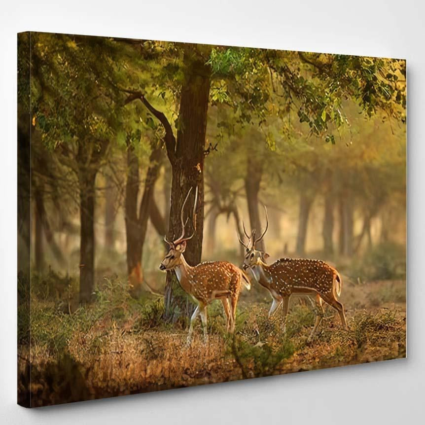 Chital Cheetal Axis Spotted Deers Deer 2 Deer Animals Premium Multi Canvas Prints, Multi Piece Panel Canvas Luxury Gallery Wall Fine Art Print Single Wrapped Canvas (Ready To Hang) 1 PIECE(8x10)