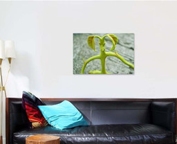 Bowtruckles Insect That Mimics Nature Leaves, Fantastic Premium Multi Canvas Prints, Multi Piece Panel Canvas , Luxury Gallery Wall Fine Art Single Canvas 1 PIECE (24x36)