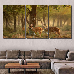 Chital Cheetal Axis Spotted Deers Deer 2 Deer Animals Premium Multi Canvas Prints, Multi Piece Panel Canvas Luxury Gallery Wall Fine Art Print Multi Wrapped Canvas (Ready To Hang) 3PIECE(36 x18)