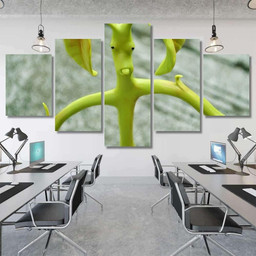 Bowtruckles Insect That Mimics Nature Leaves, Fantastic Premium Multi Canvas Prints, Multi Piece Panel Canvas , Luxury Gallery Wall Fine Art Multi Canvas 5PIECE(Mixed 12)