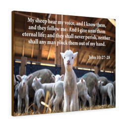 Scripture Canvas My Sheep Hear My Voice John 10:27-28 Christian Bible Verse Meaningful Framed Prints, Canvas Paintings Framed Matte Canvas 20x30