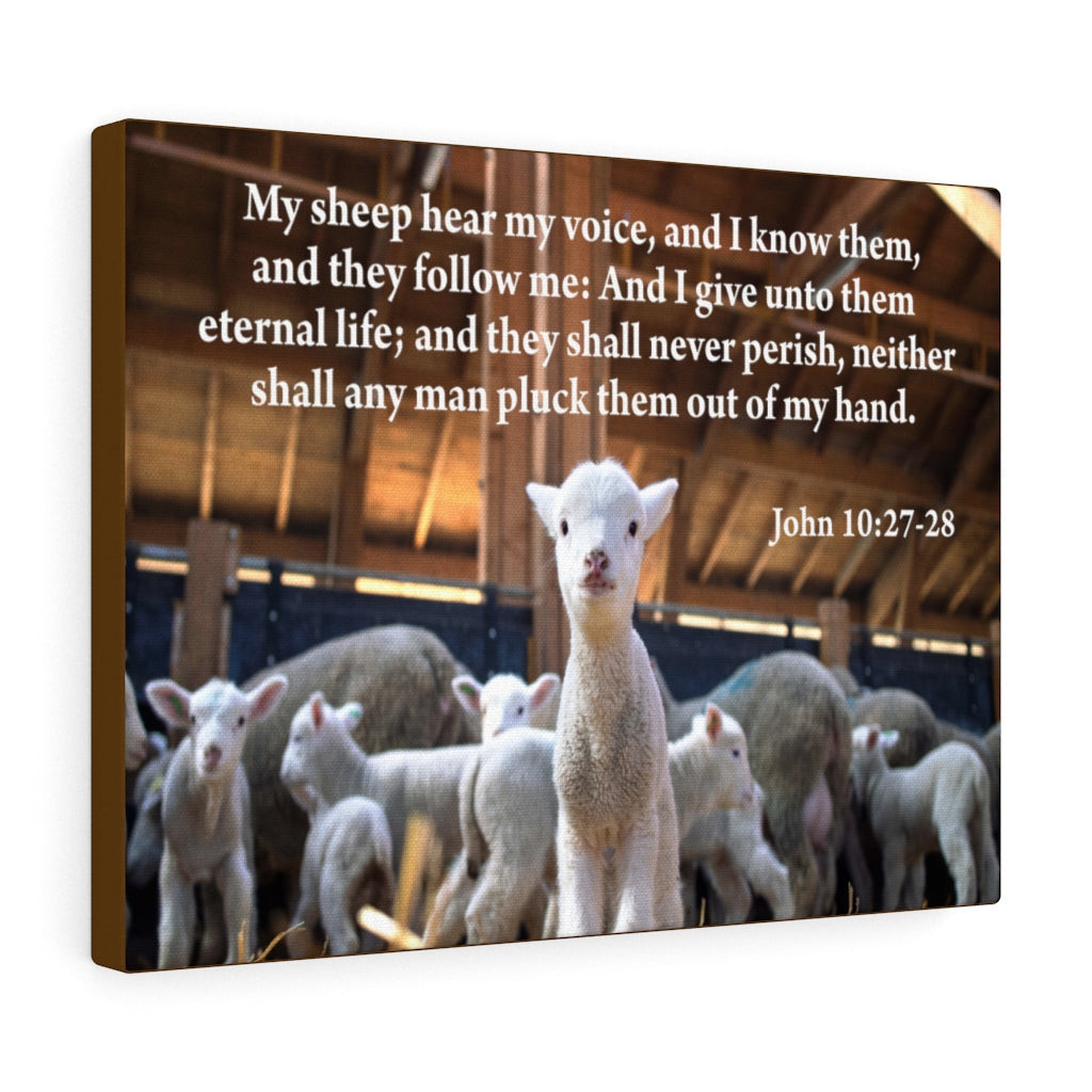 Scripture Canvas My Sheep Hear My Voice John 10:27-28 Christian Bible Verse Meaningful Framed Prints, Canvas Paintings Wrapped Canvas 8x10