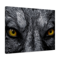 Wolf Eye Wall Inspirational Printed On Ready To Hang Stretched Canvas Wall Art