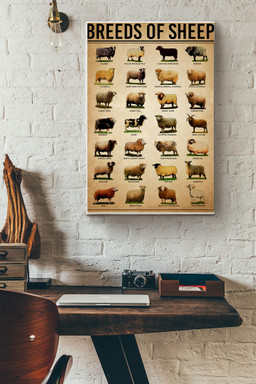 Breeds Of Sheep Farm Wall Decor Canvas Canvas Gallery Painting Wrapped Canvas Framed Gift Idea Wrapped Canvas 20x30
