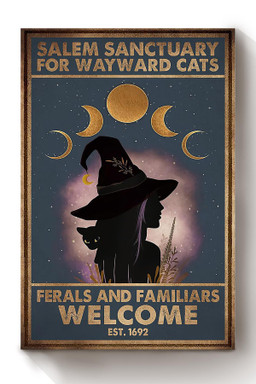 Black Cat Salem Sanctualy For Wayward Cats Animal Gift For Cat Lover International Cat Day Halloween Decor Kitten Foster Canvas Framed Prints, Canvas Paintings Wrapped Canvas 12x16