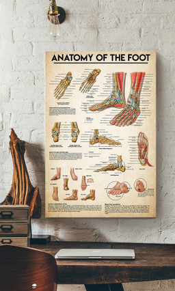 Anatomy Of The Foot Medical Knowledge For Doctor Surgeon Hospital Clinic Decor Canvas Gallery Painting Wrapped Canvas Framed Prints, Canvas Paintings Wrapped Canvas 20x30