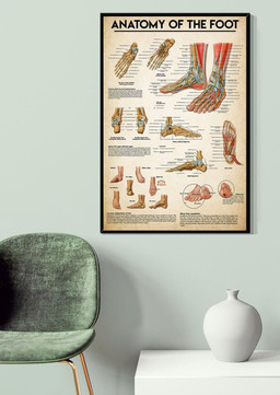 Anatomy Of The Foot Medical Knowledge For Doctor Surgeon Hospital Clinic Decor Canvas Gallery Painting Wrapped Canvas Framed Prints, Canvas Paintings Framed Matte Canvas 12x16
