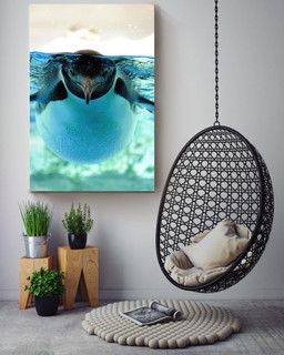 Cute Gentoo Penguin Under Water Cool Gift For Housewarming Canvas Framed Prints, Canvas Paintings Wrapped Canvas 16x24