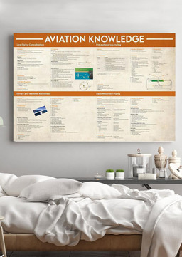 Basic Information Avation Knowledge For Homeschool Home Decor Wrapped Canvas 20x30