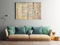 Flags And Pennants Meanings World Country Flags Knowledge For Geography Wrapped Canvas 20x30
