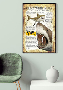 Great White Shark Animal For House Classroom Library Decor Canvas Gallery Painting Wrapped Canvas Framed Prints, Canvas Paintings Wrapped Canvas 20x30