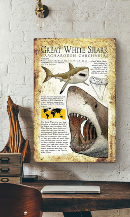 Great White Shark Animal For House Classroom Library Decor Canvas Gallery Painting Wrapped Canvas Framed Prints, Canvas Paintings Wrapped Canvas 12x16