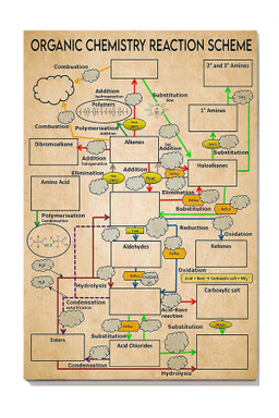 Organic Chemistry Reaction Scheme Science Knowledge For Homeschool Canvas Wrapped Canvas 8x10