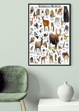 Mamals Of Michigan Animal Knowledge For Homeschool Nusery Kids Bedroom Decor Canvas Wrapped Canvas 20x30