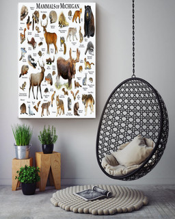 Mamals Of Michigan Animal Knowledge For Homeschool Nusery Kids Bedroom Decor Canvas Wrapped Canvas 16x24