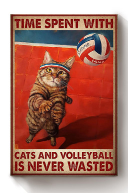 Spend Time With Cat And Volleyball Animal Gallery Canvas Painting Gift For Cat Lover International Cat Day Kitten Foster Canvas Framed Prints, Canvas Paintings Wrapped Canvas 8x10