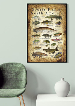 Sports Fish Of North America Animal Gallery Canvas Painting Gift For Animal Researcher Scientists Canvas Gallery Painting Wrapped Canvas Framed Prints, Canvas Paintings Wrapped Canvas 20x30